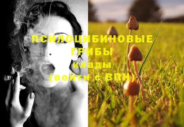 MDMA Армянск