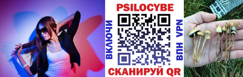 где продают   Усмань  Псилоцибиновые грибы мицелий 